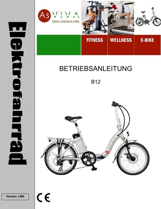 Pedelec B12