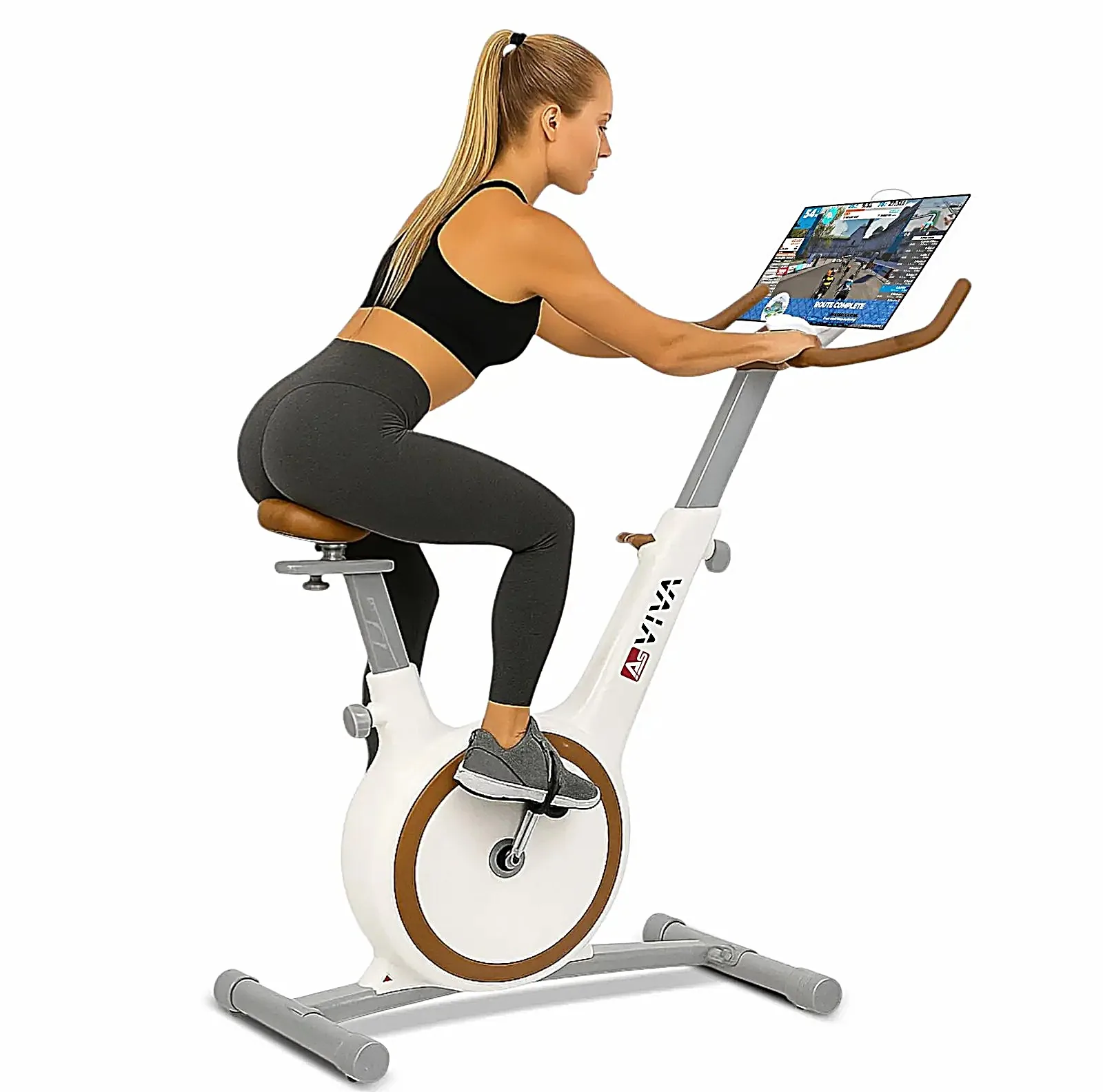 AsVIVA H12 ergometer Speedbike – kenmerken in overzicht