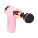 AsVIVA massagepistool MGN2 - Rose - Productweergave