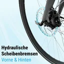 AsVIVA Urban City E-Bike BC1C – 28 inch – Schijfremmen