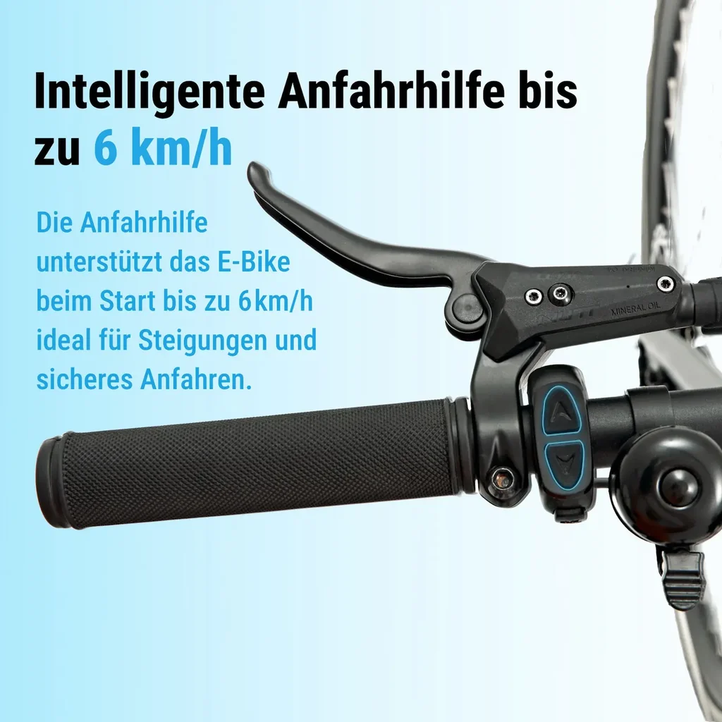 AsVIVA Urban City E-Bike BC1C – 28 inch – Aanzethulp