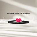 Meegeleverde borstband T34 van de AsVIVA ergometer H25 Studio Pro voor nauwkeurige hartslagmeting