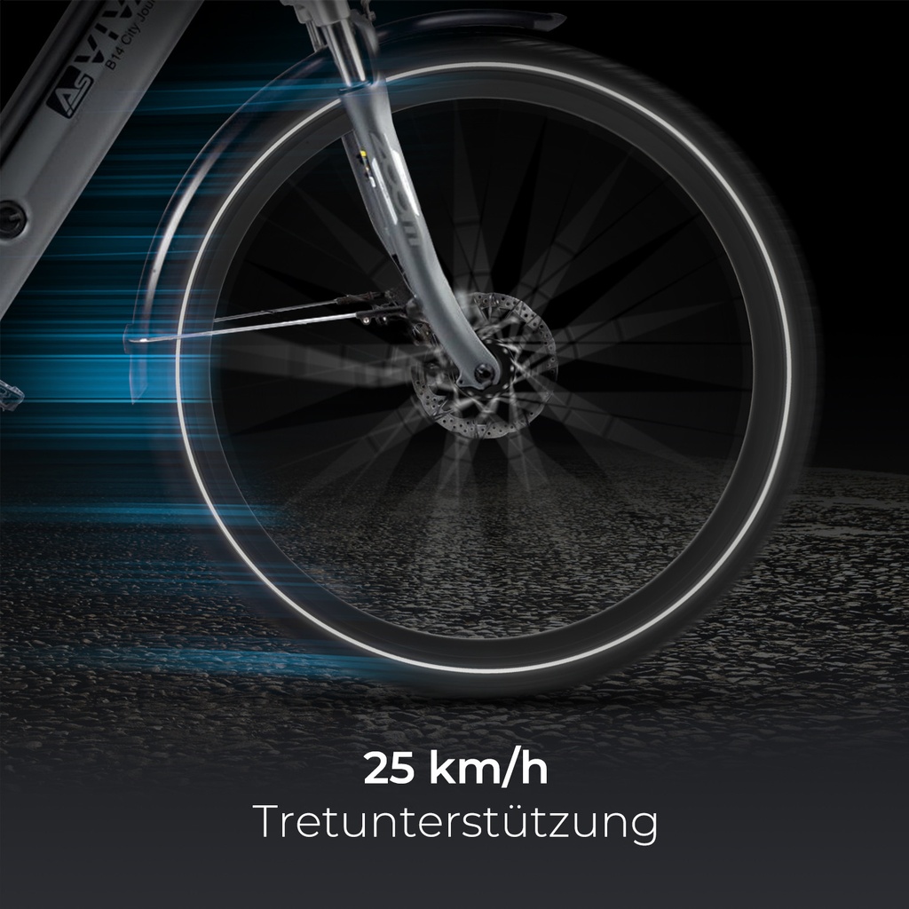 AsVIVA City E-Bike Stadtfalter B14 – Grijs/Wit – Weergave 7