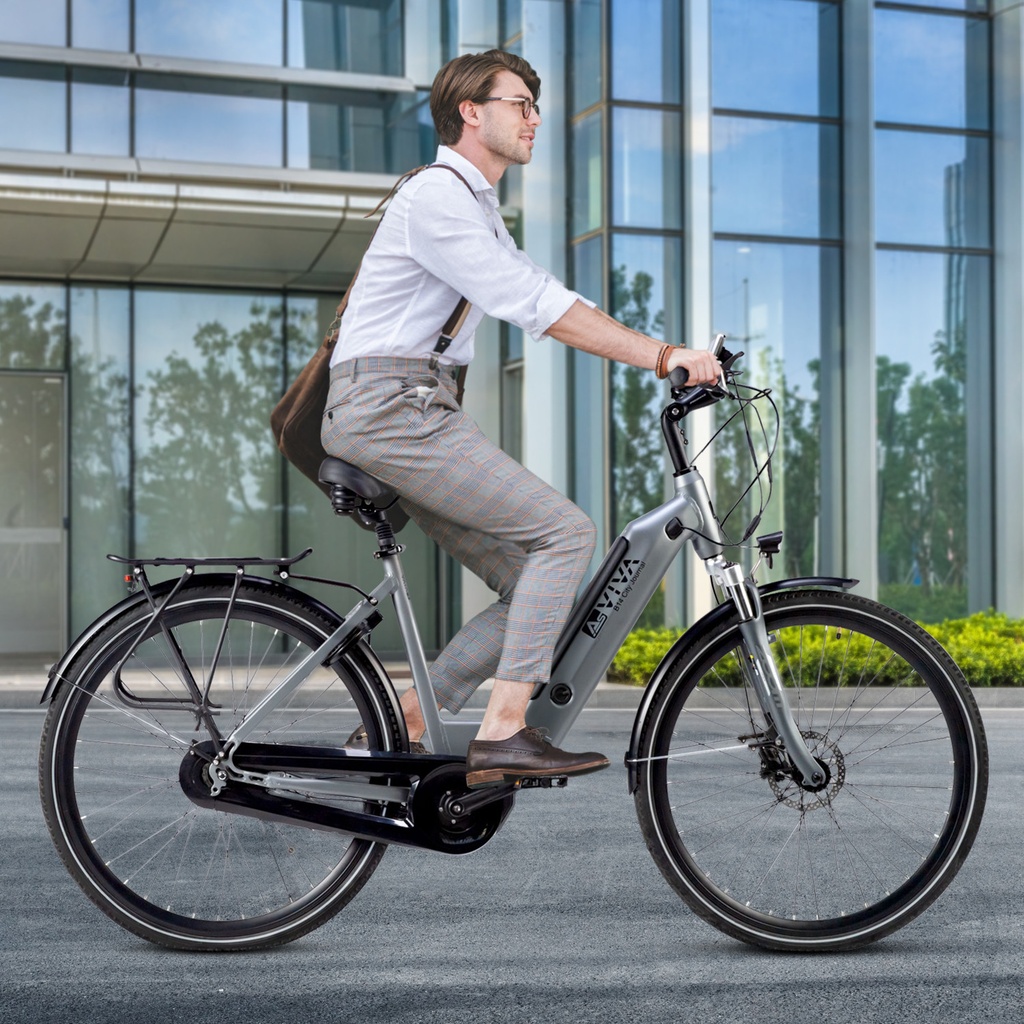 AsVIVA City E-Bike Stadtfalter B14 – Grijs/Wit – Weergave 11