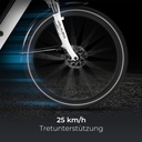 AsVIVA City E-Bike Stadtfalter B14 – Grijs/Wit – Weergave 6