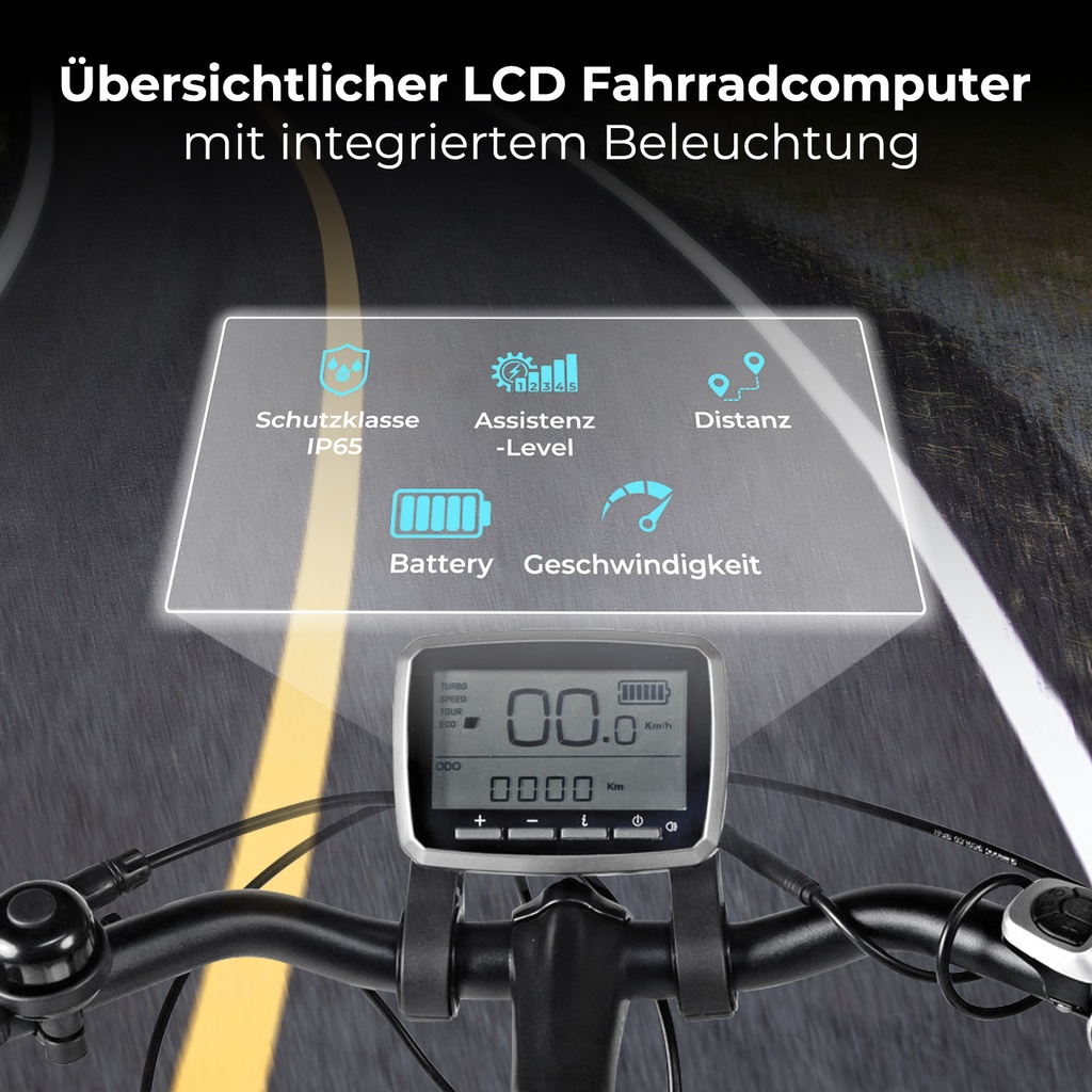 AsVIVA City E-Bike Stadtfalter B14 – Grijs/Wit – Boordcomputer