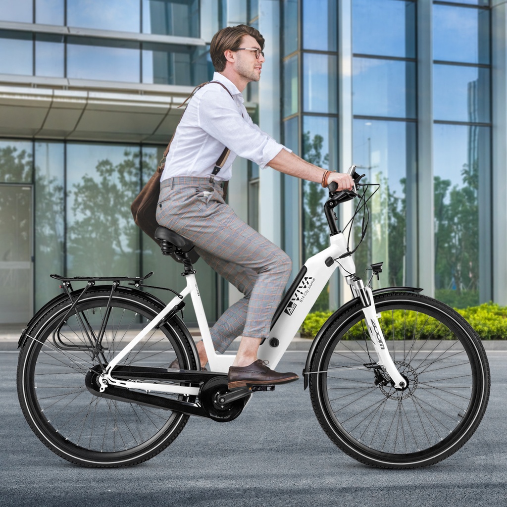 AsVIVA City E-Bike Stadtfalter B14 – Grijs/Wit – Weergave 10
