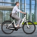 AsVIVA City E-Bike Stadtfalter B14 – Grijs/Wit – Weergave 10