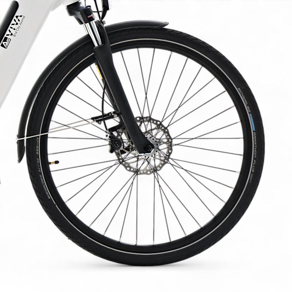 AsVIVA City E-Bike Stadtfalter B14 – Grijs/Wit – Banden