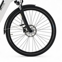 AsVIVA City E-Bike Stadtfalter B14 – Grijs/Wit – Banden