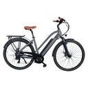 City E-Bike B15 (Grau, brauner Sattel, breites Display) – Seitenansicht links