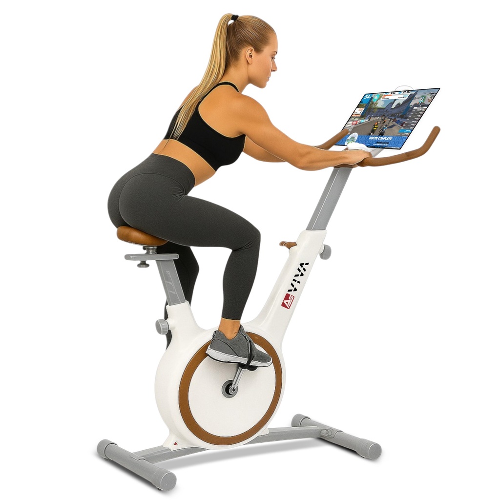 Ergometer Speedbike H12 (Demomodel)